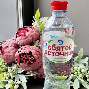 Вода Святой Источник газированная