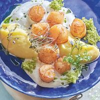 Жареные гребешки с крем-картофелем и трюфельным соусом