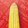 Фото к позиции меню Горячая Кукуруза