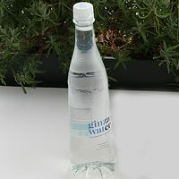 Ginza вода негазированная