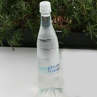 Ginza Water негазированная