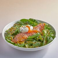 Салат Зеленый с лососем и яйцом пашот