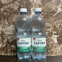 Вода Сарова газированная